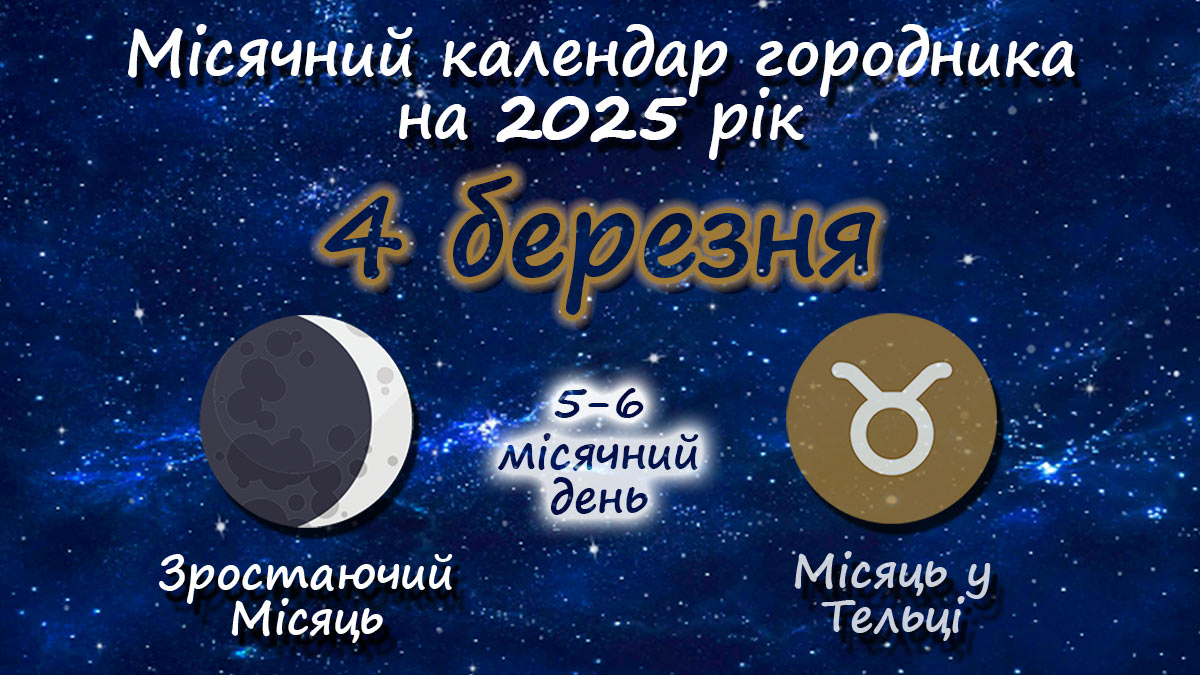 Місячний календар садівника-городника на 4 березня 2025 року