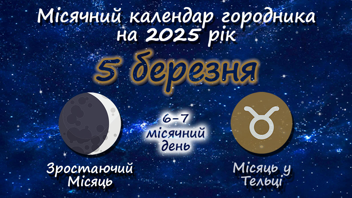 Місячний календар садівника-городника на 5 березня 2025 року