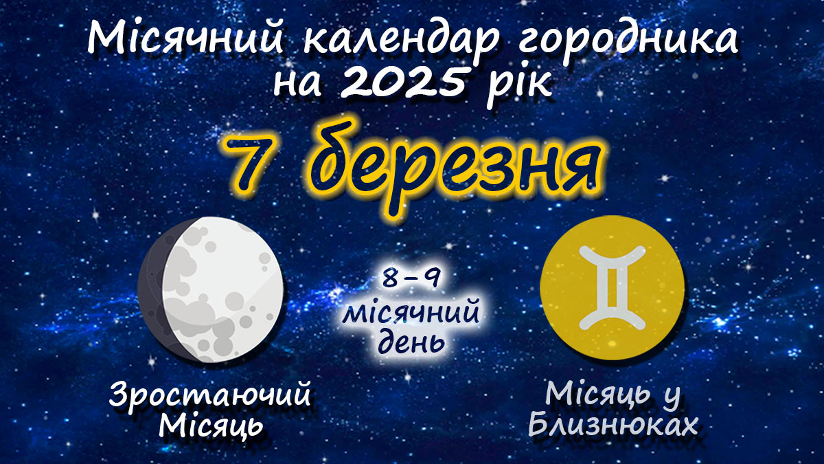 Місячний календар садівника-городника на 7 березня 2025 року