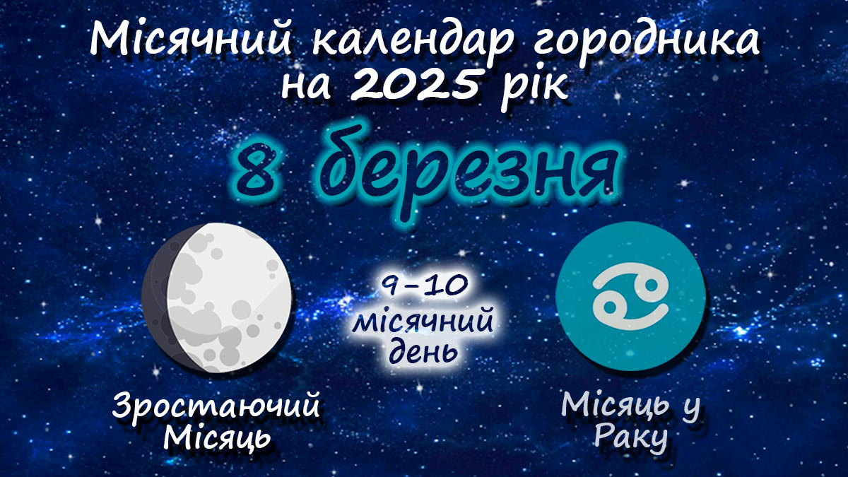 Місячний календар садівника-городника на 8 березня 2025 року
