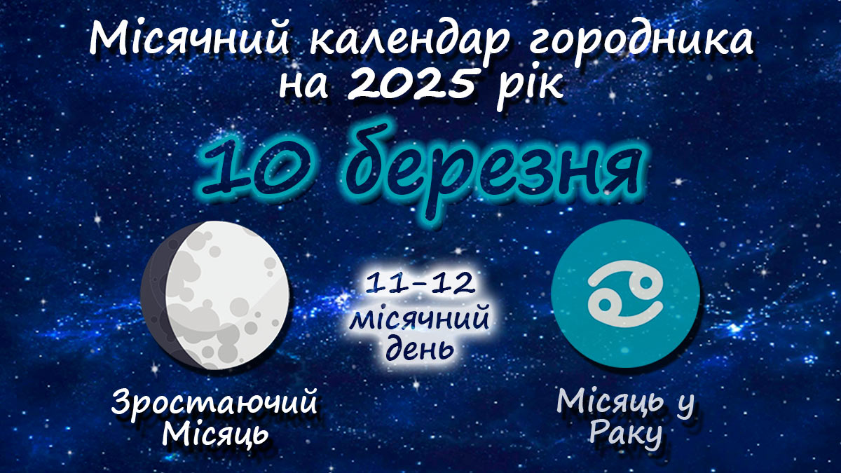 Місячний календар садівника-городника на 10 березня 2025 року