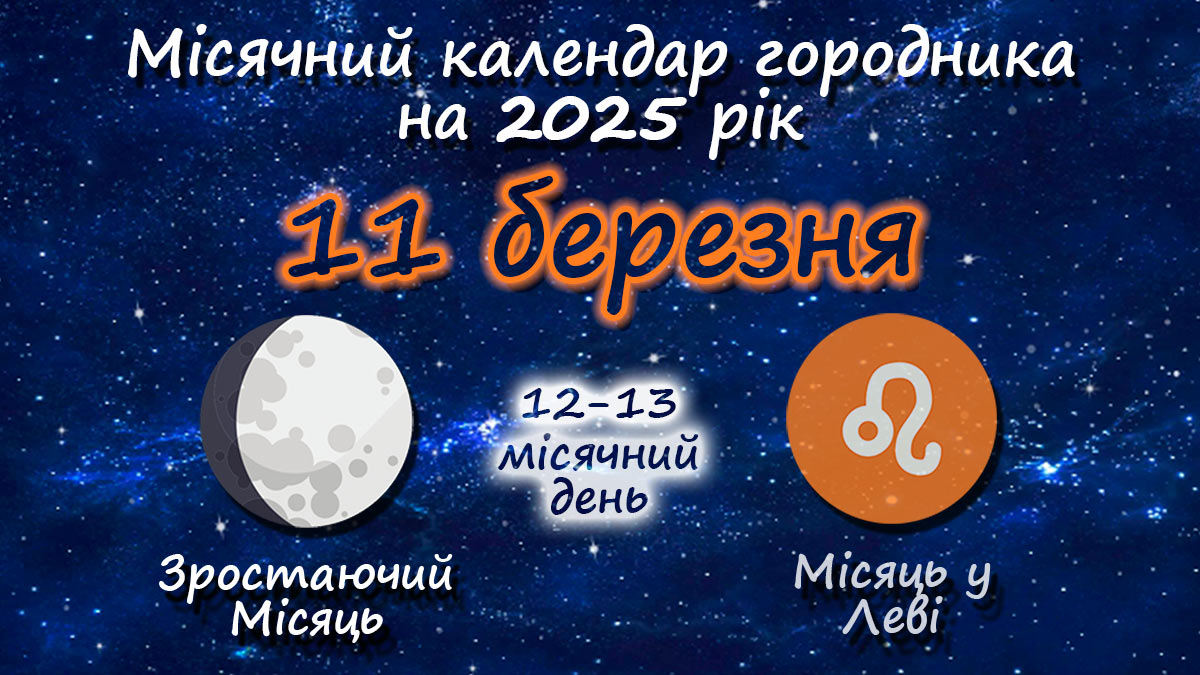 Місячний календар садівника-городника на 11 березня 2025 року