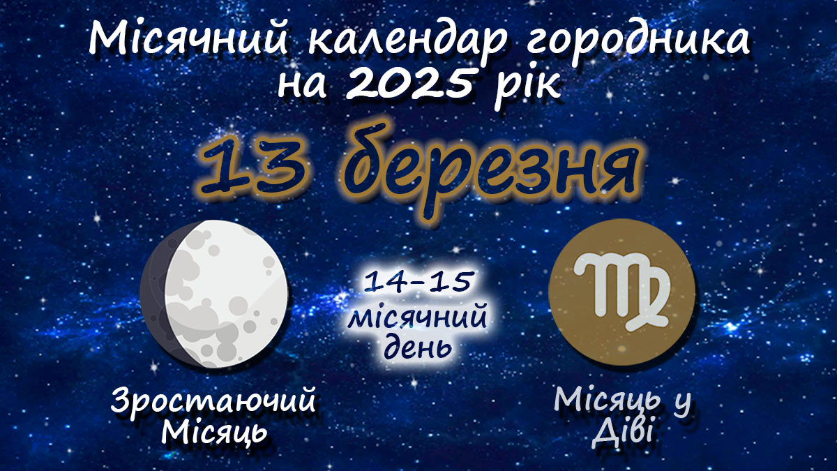 Місячний календар садівника-городника на 13 березня 2025 року