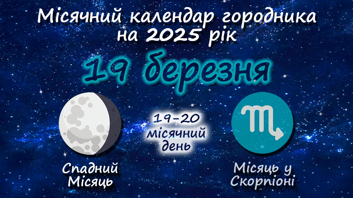 Місячний календар садівника-городника на 19 березня 2025 року
