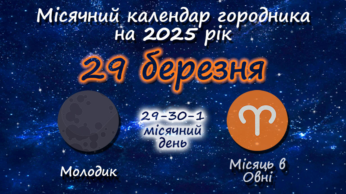 Місячний календар садівника-городника на 29 березня 2025 року