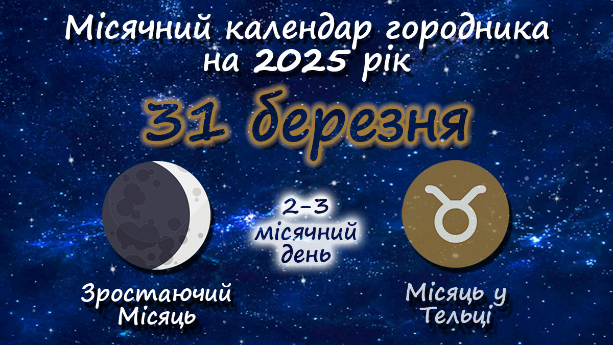 Місячний календар садівника-городника на 31 березня 2025 року