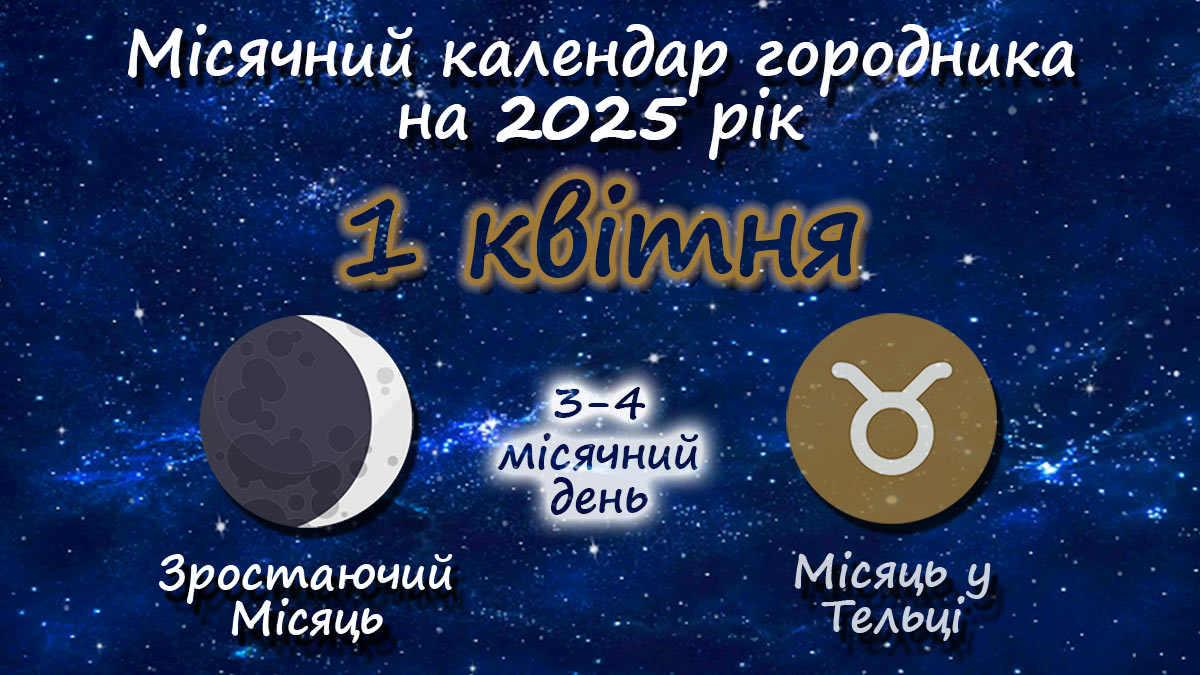 Місячний календар садівника-городника на 1 квітня 2025 року