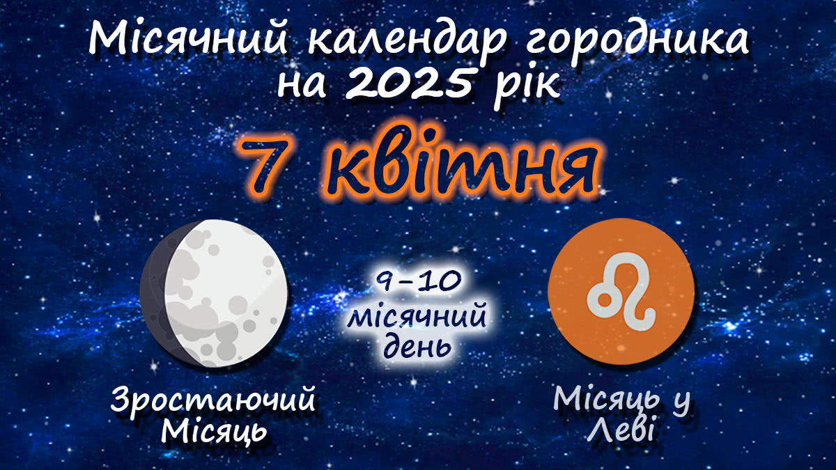 Місячний календар садівника-городника на 7 квітня 2025 року