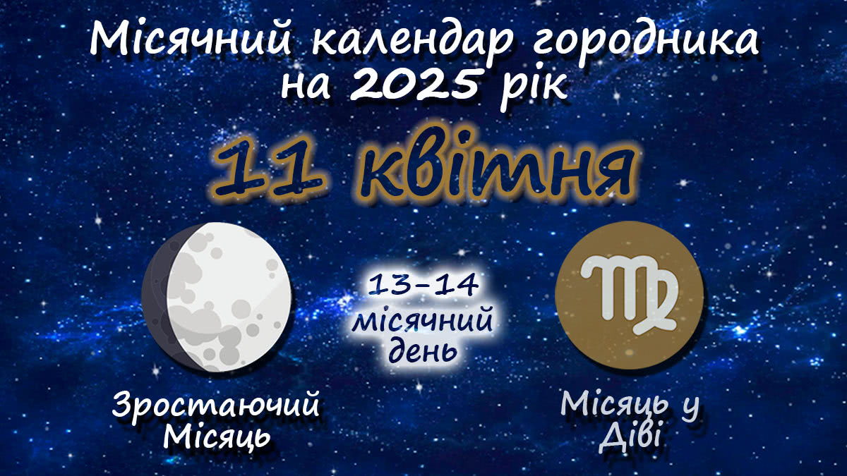 Місячний календар садівника-городника на 11 квітня 2025 року