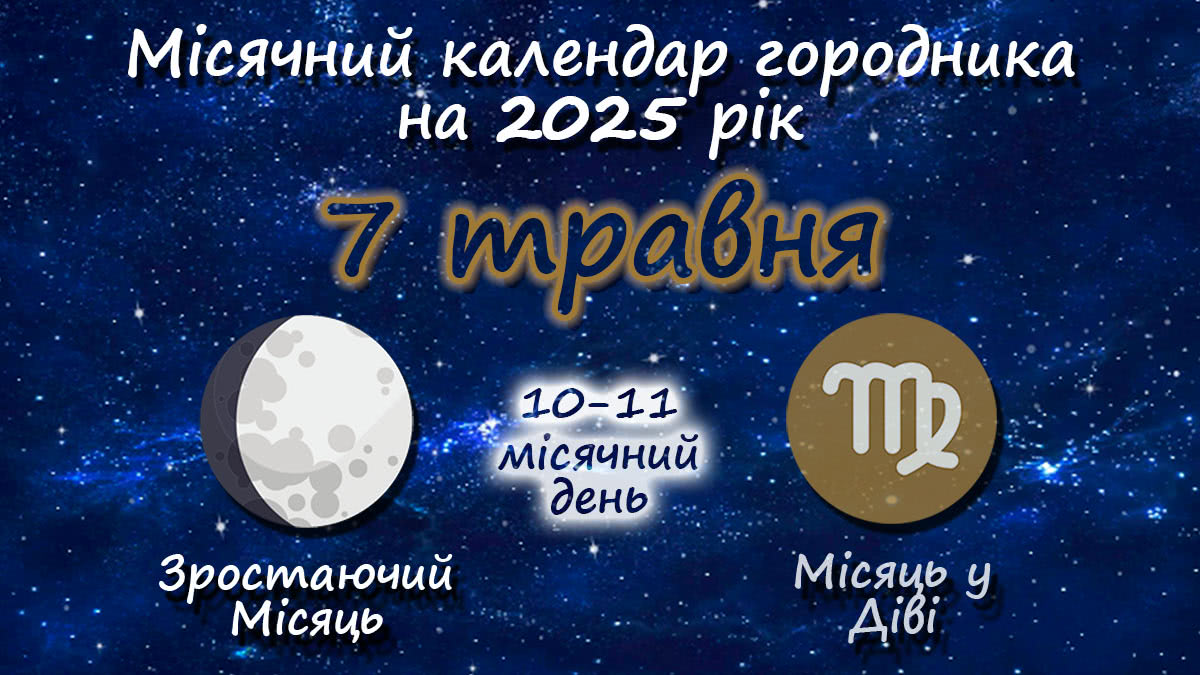 Місячний календар садівника-городника на 7 травня 2025 року