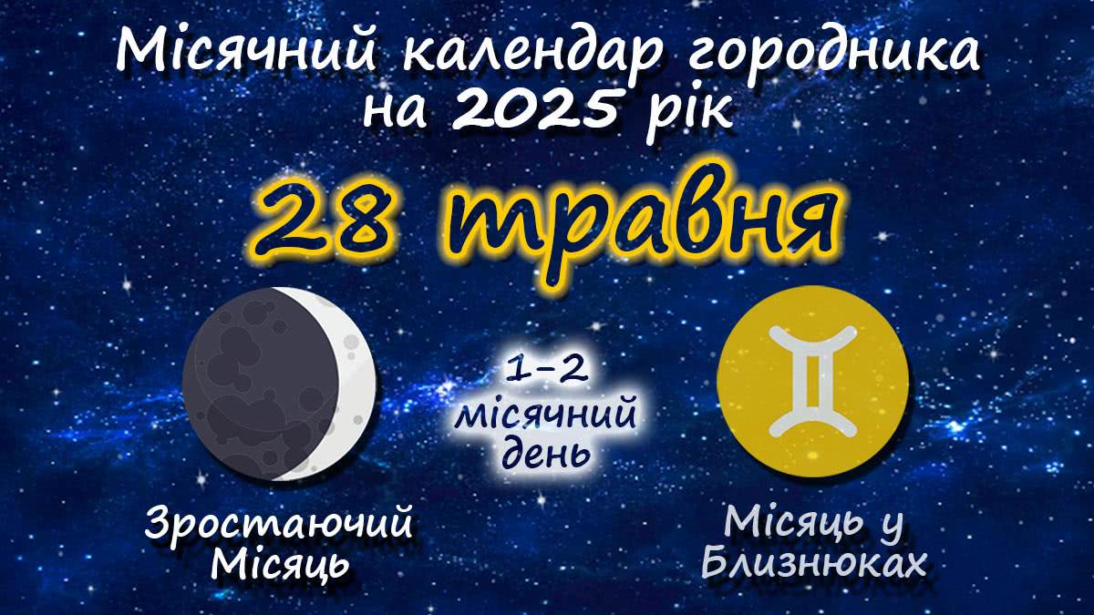 Місячний календар садівника-городника на 28 травня 2025 року