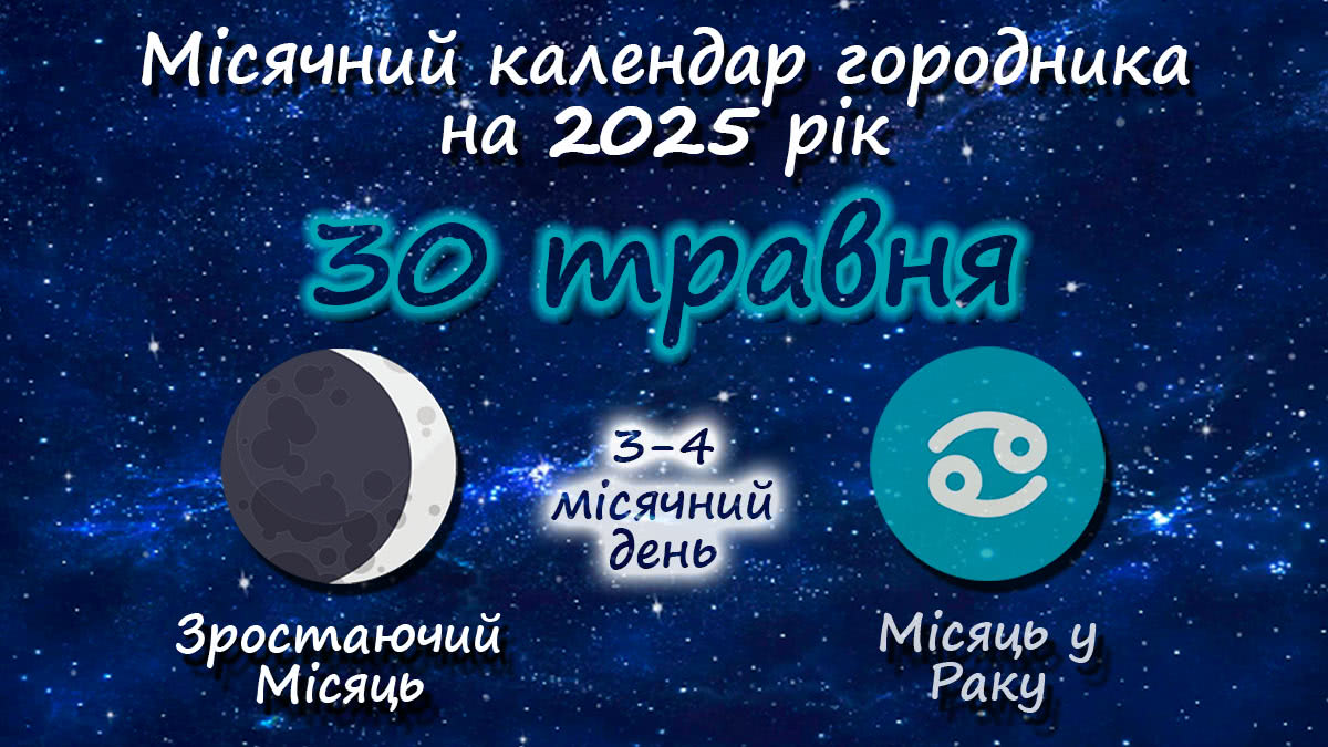 Місячний календар садівника-городника на 30 травня 2025 року