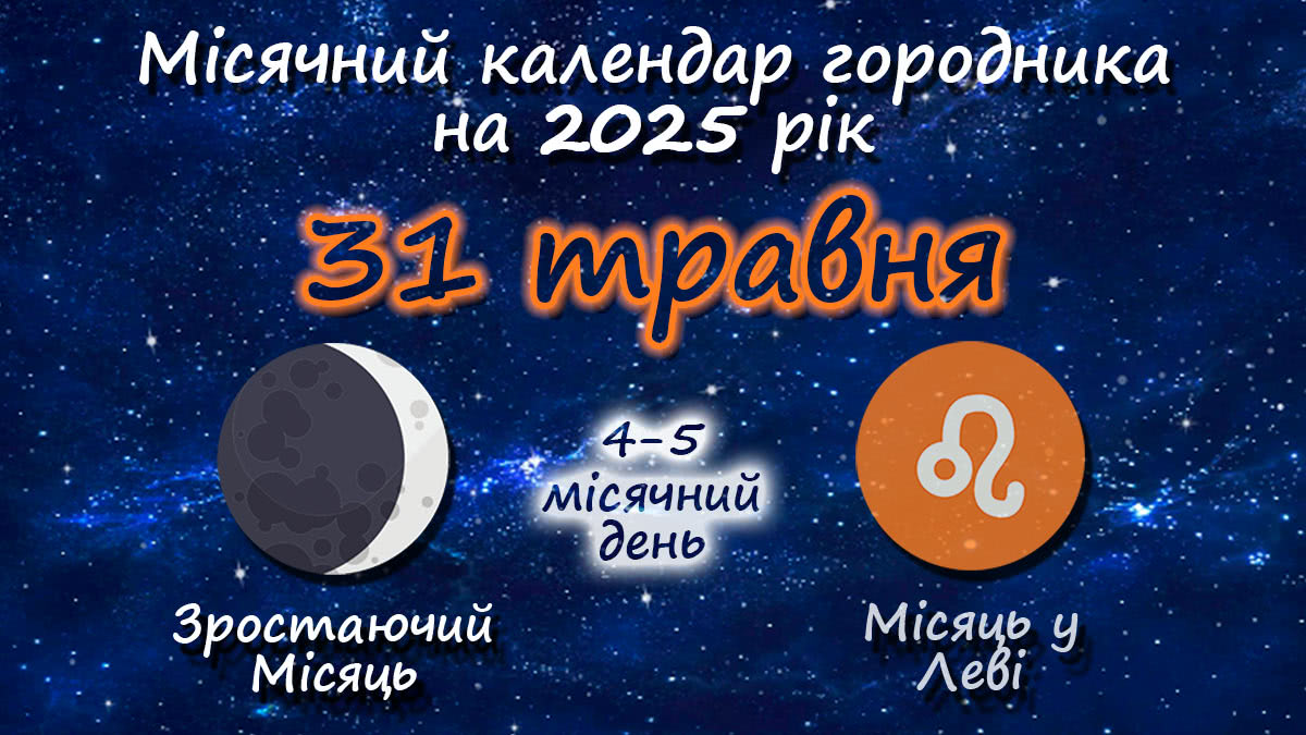 Місячний календар садівника-городника на 31 травня 2025 року