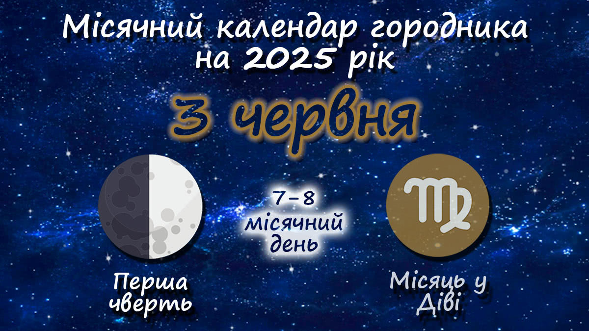 Місячний календар садівника-городника на 3 червня 2025 року
