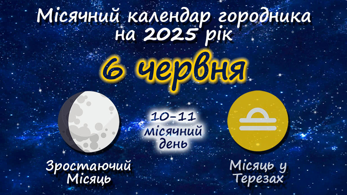 Місячний календар садівника-городника на 6 червня 2025 року