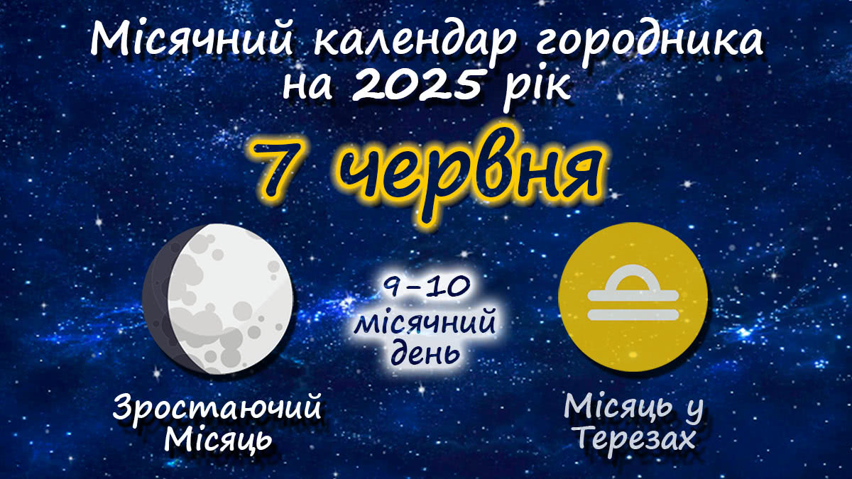 Місячний календар садівника-городника на 7 червня 2025 року