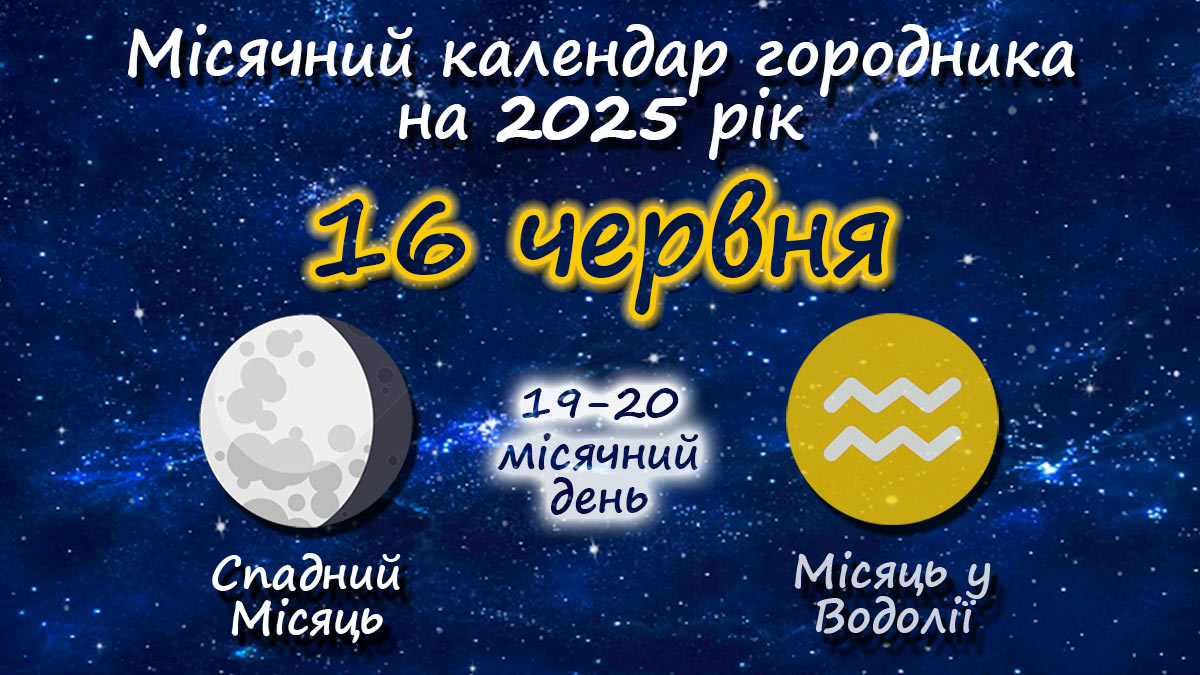 Місячний календар садівника-городника на 16 червня 2025 року