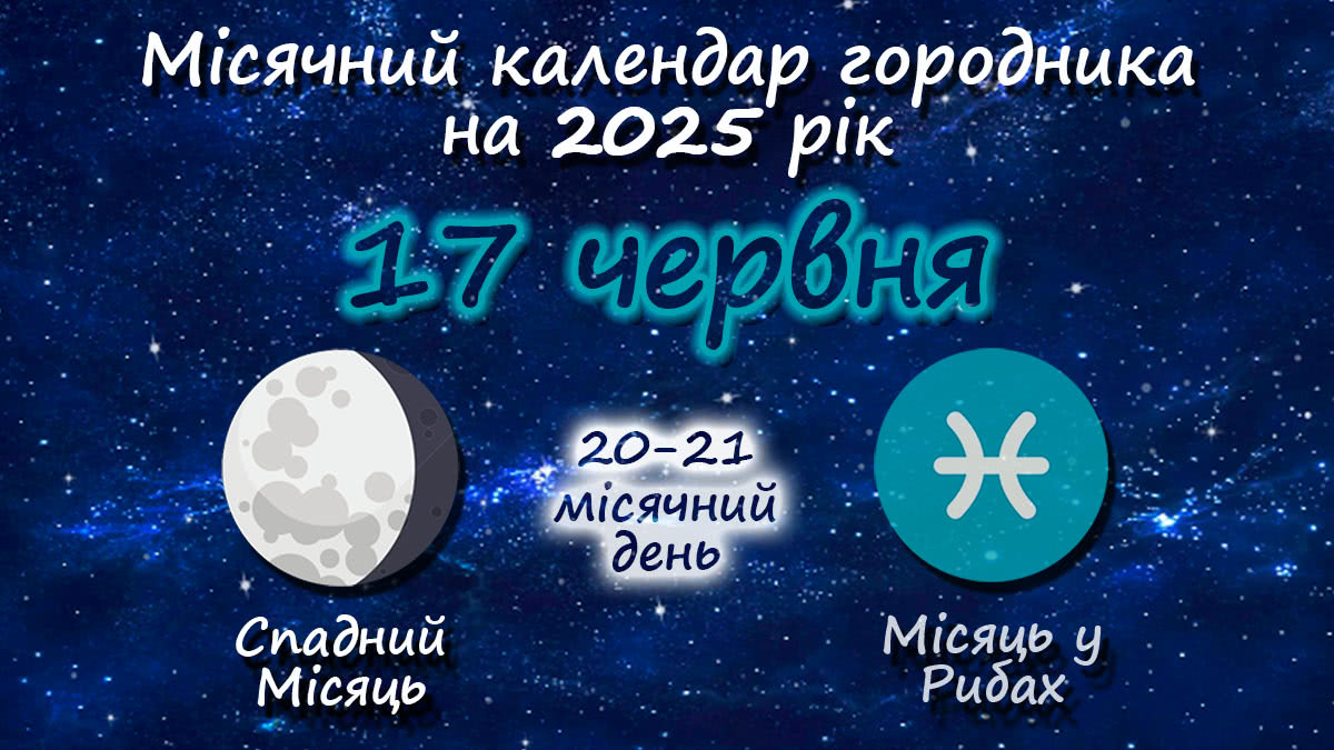 Місячний календар садівника-городника на 17 червня 2025 року