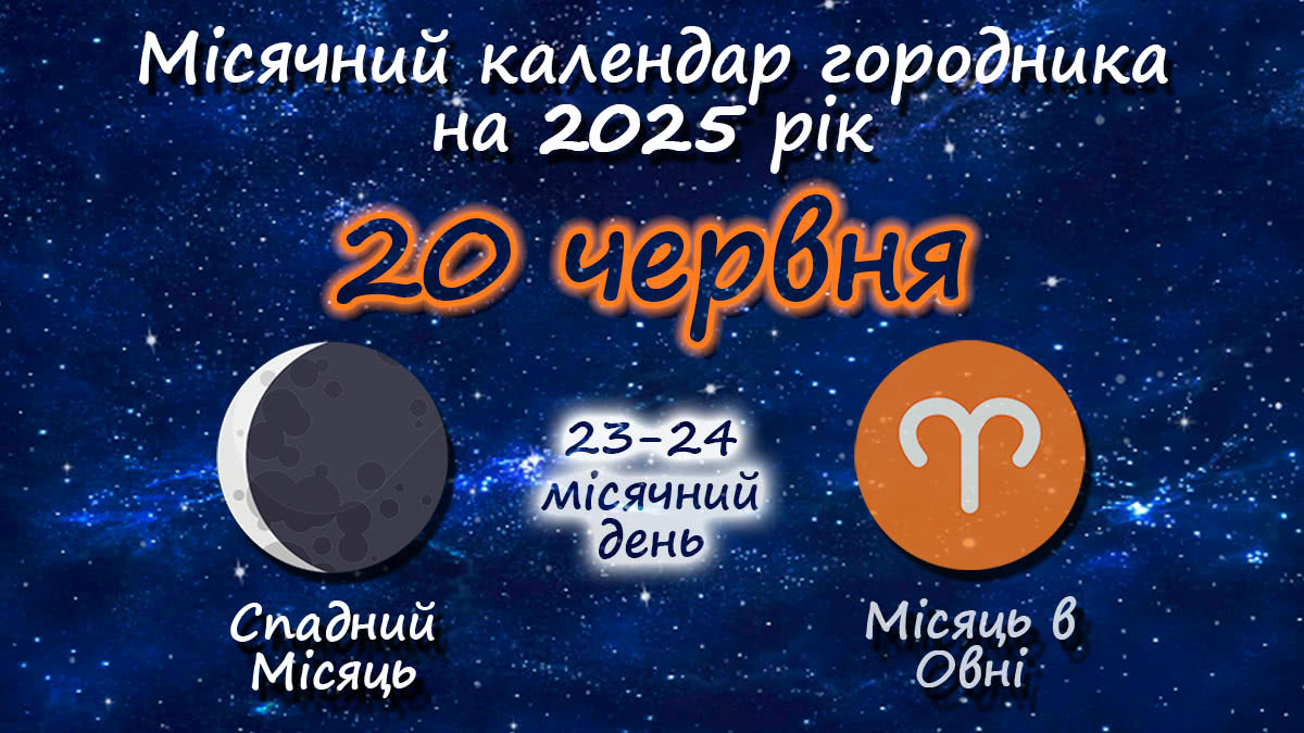 Місячний календар садівника-городника на 20 червня 2025 року