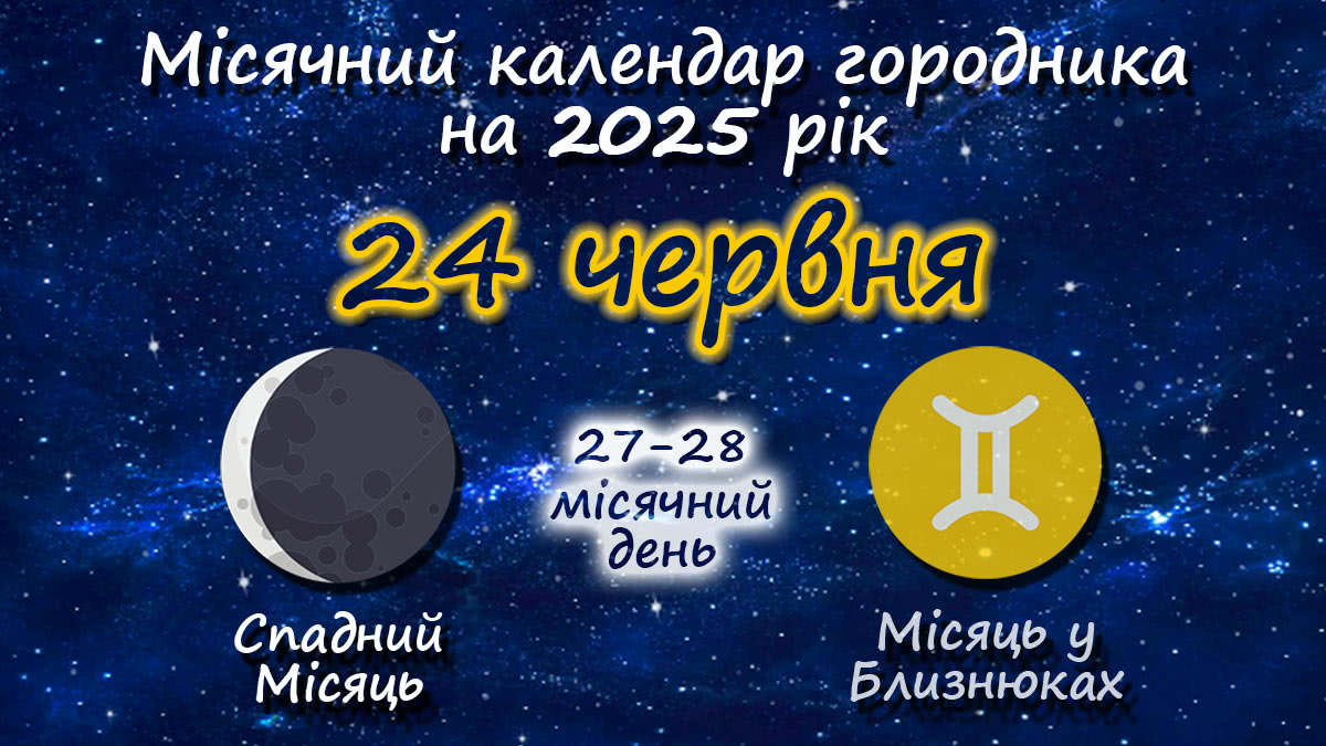 Місячний календар садівника-городника на 24 червня 2025 року