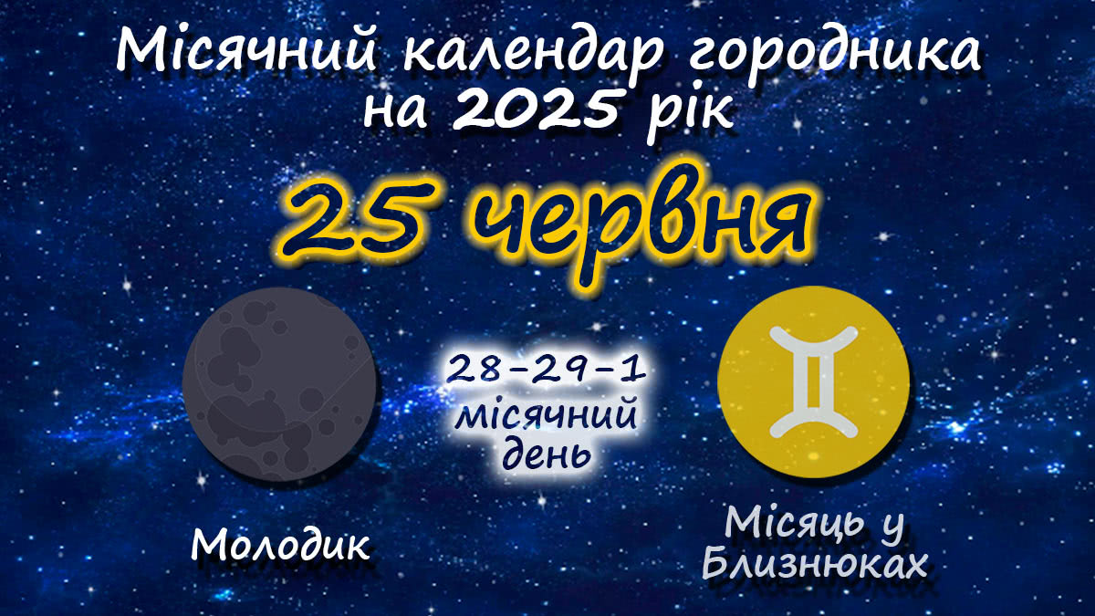 Місячний календар садівника-городника на 25 червня 2025 року