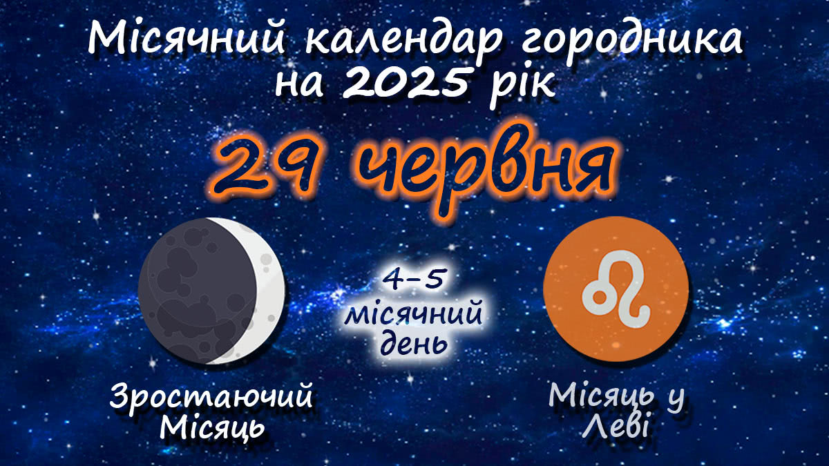 Місячний календар садівника-городника на 29 червня 2025 року