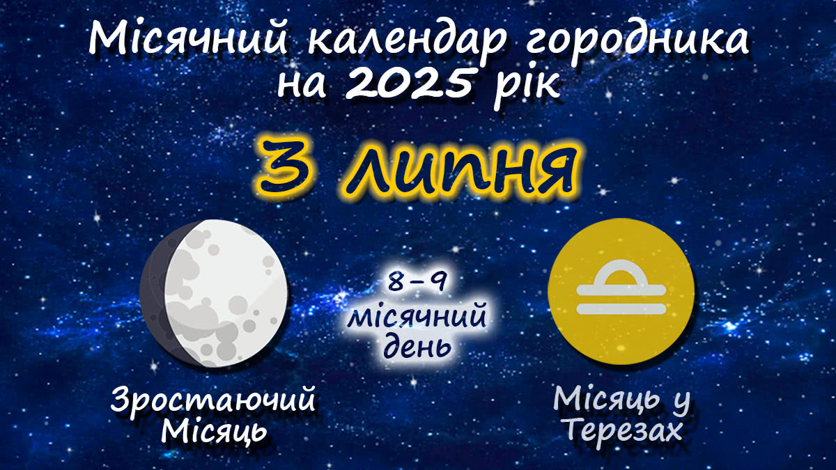 Місячний календар садівника-городника на 3 липня 2025 року