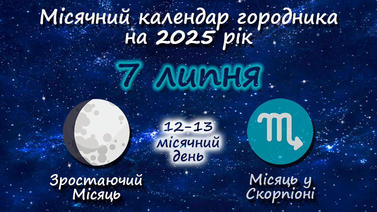 Місячний календар садівника-городника на 7 липня 2025 року