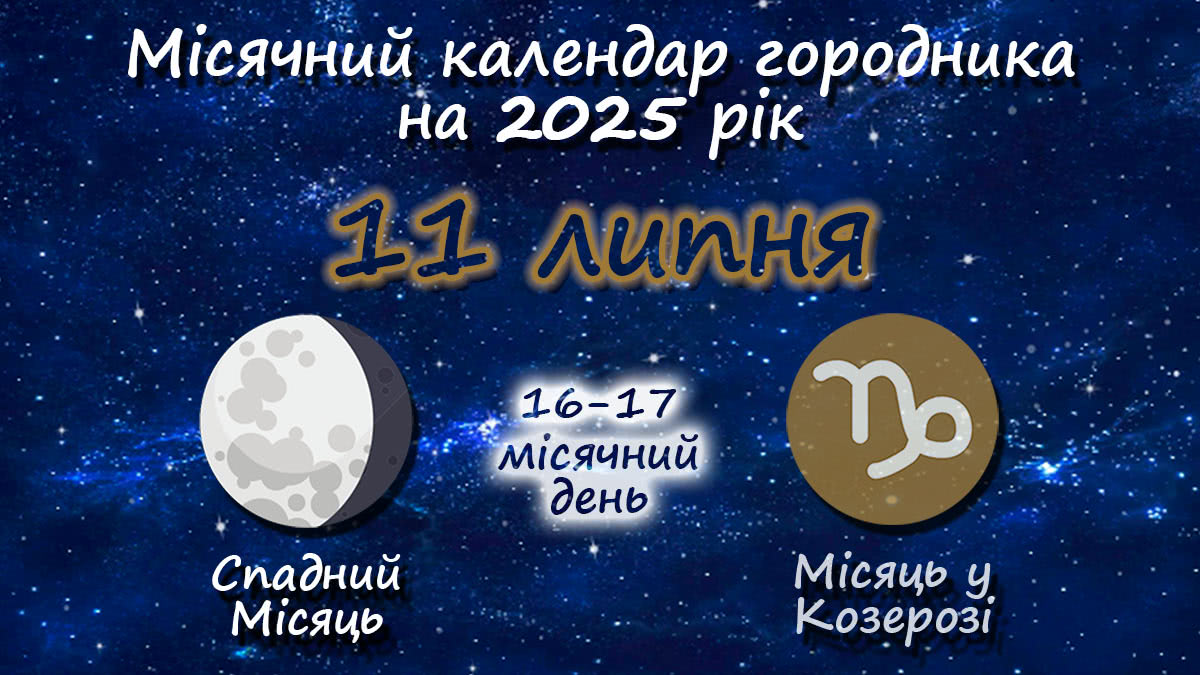 Місячний календар садівника-городника на 11 липня 2025 року