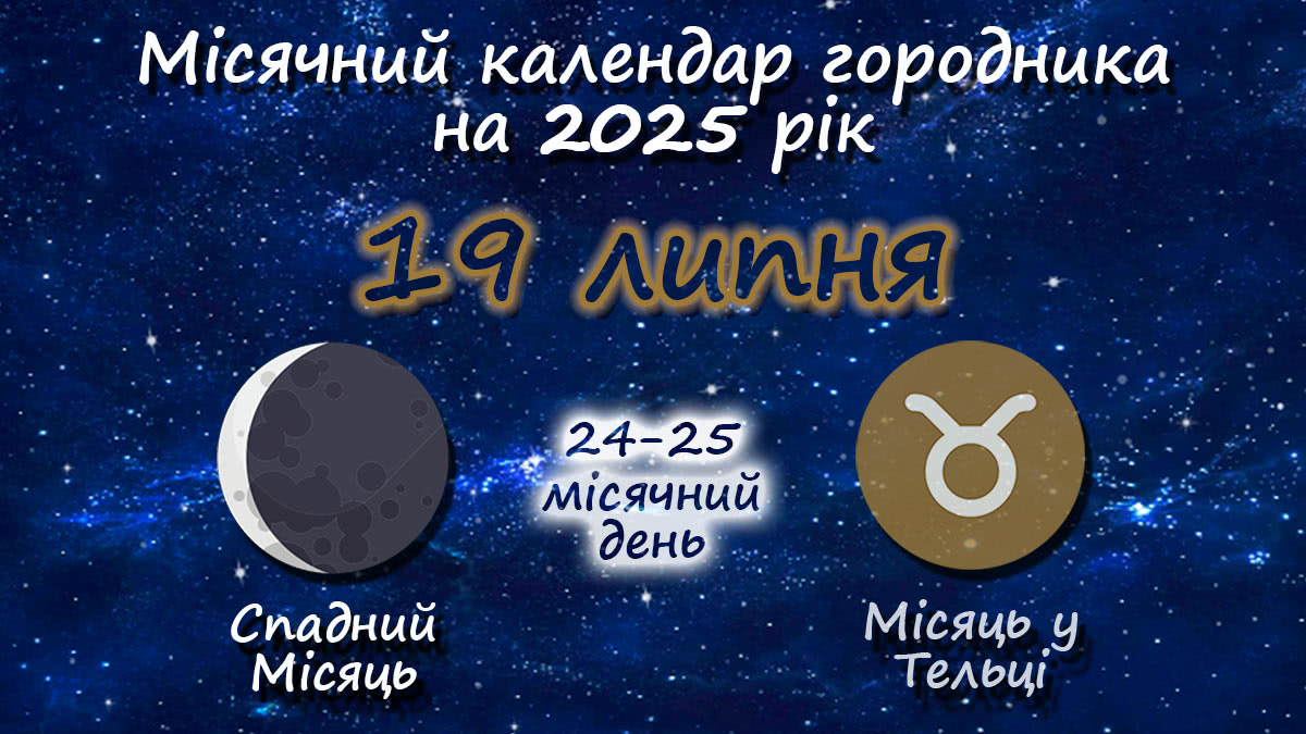 Місячний календар садівника-городника на 19 липня 2025 року