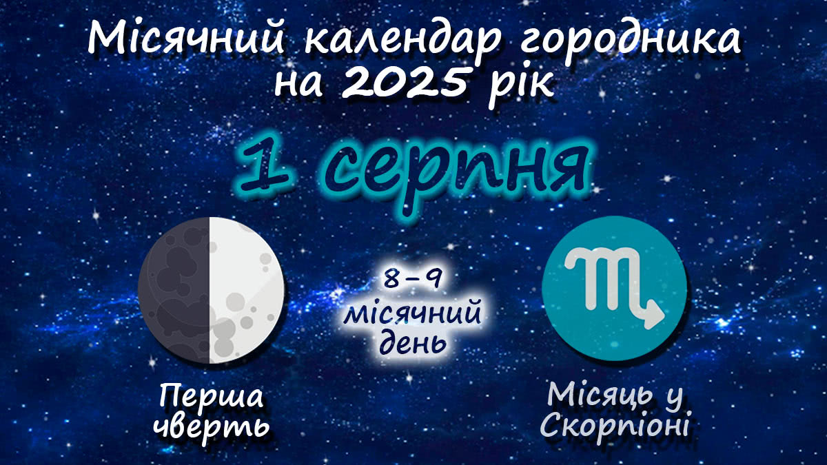 Місячний календар садівника-городника на 1 серпня 2025 року