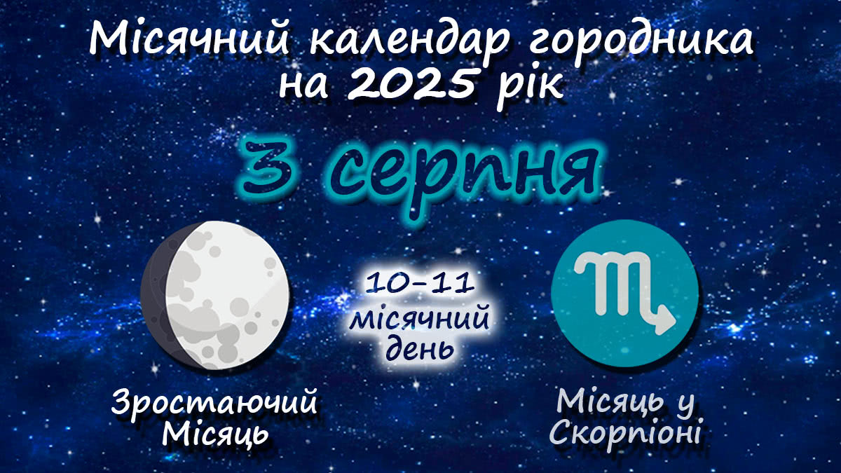 Місячний календар садівника-городника на 3 серпня 2025 року