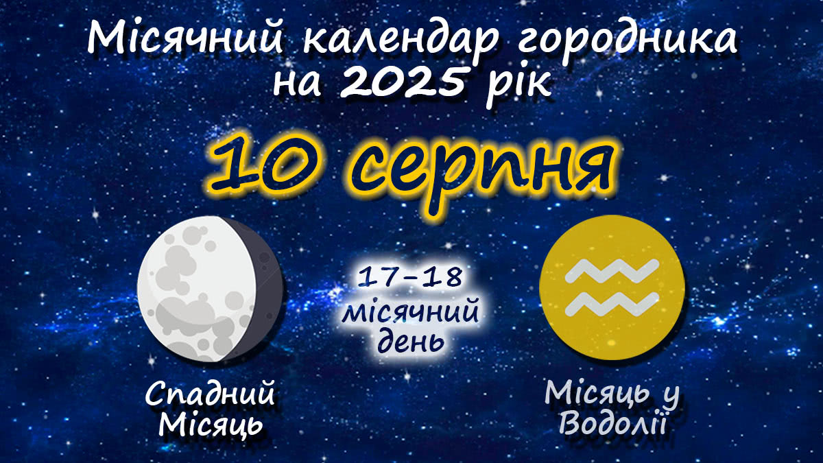 Місячний календар садівника-городника на 10 серпня 2025 року