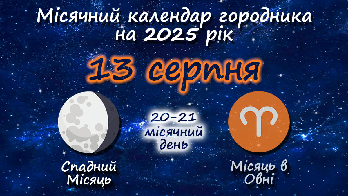 Місячний календар садівника-городника на 13 серпня 2025 року