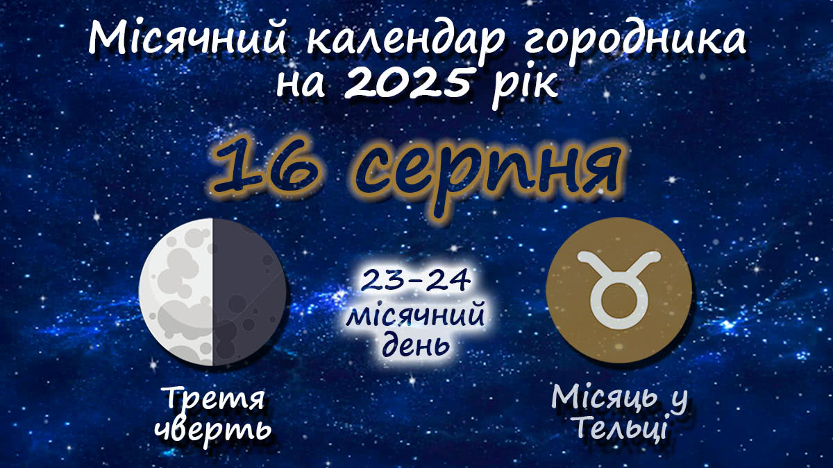 Місячний календар садівника-городника на 16 серпня 2025 року