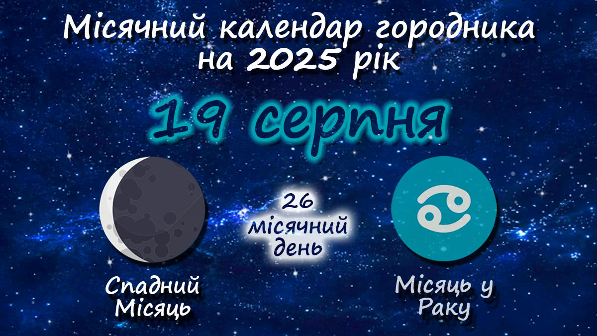 Місячний календар садівника-городника на 19 серпня 2025 року