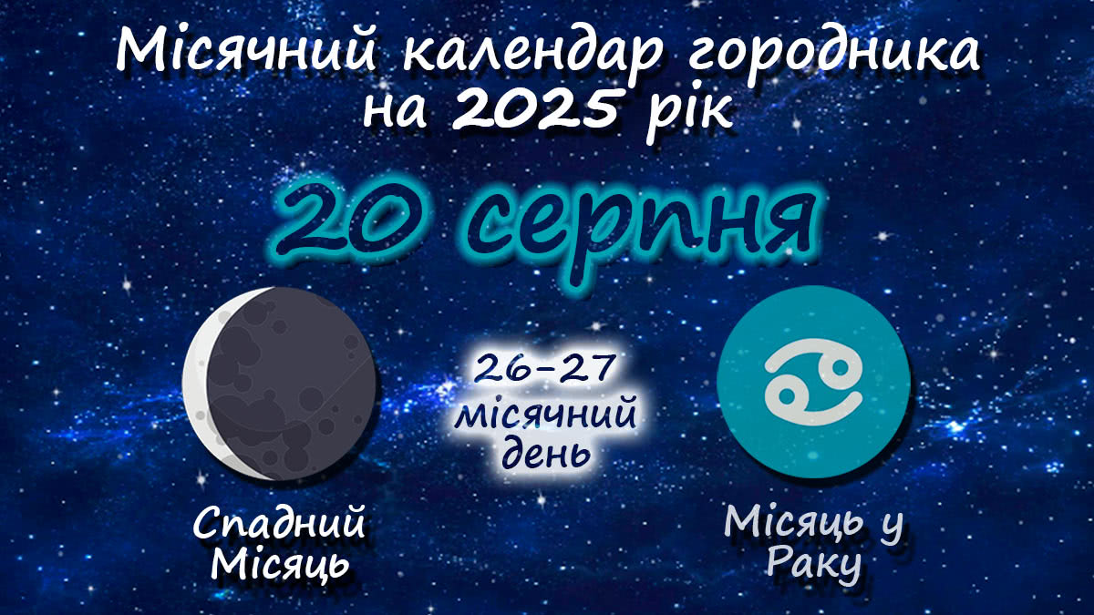 Місячний календар садівника-городника на 20 серпня 2025 року