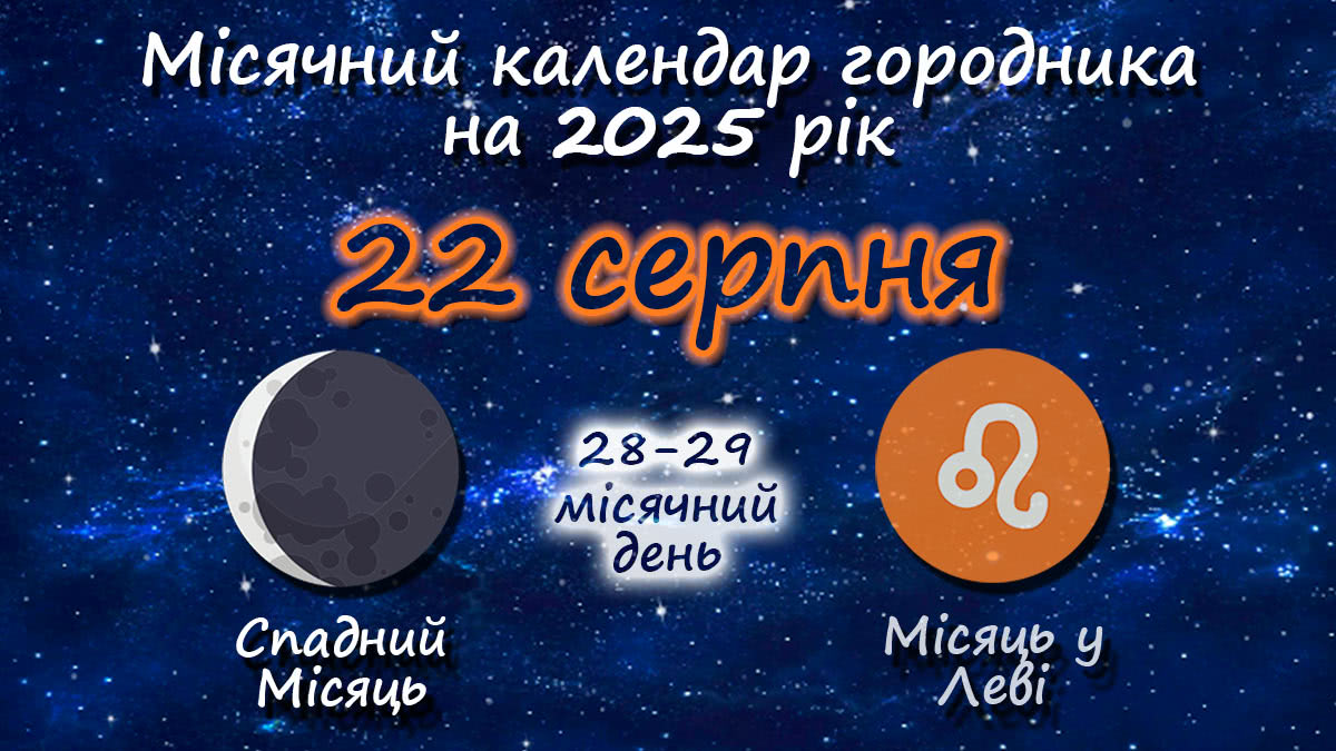 Місячний календар садівника-городника на 22 серпня 2025 року