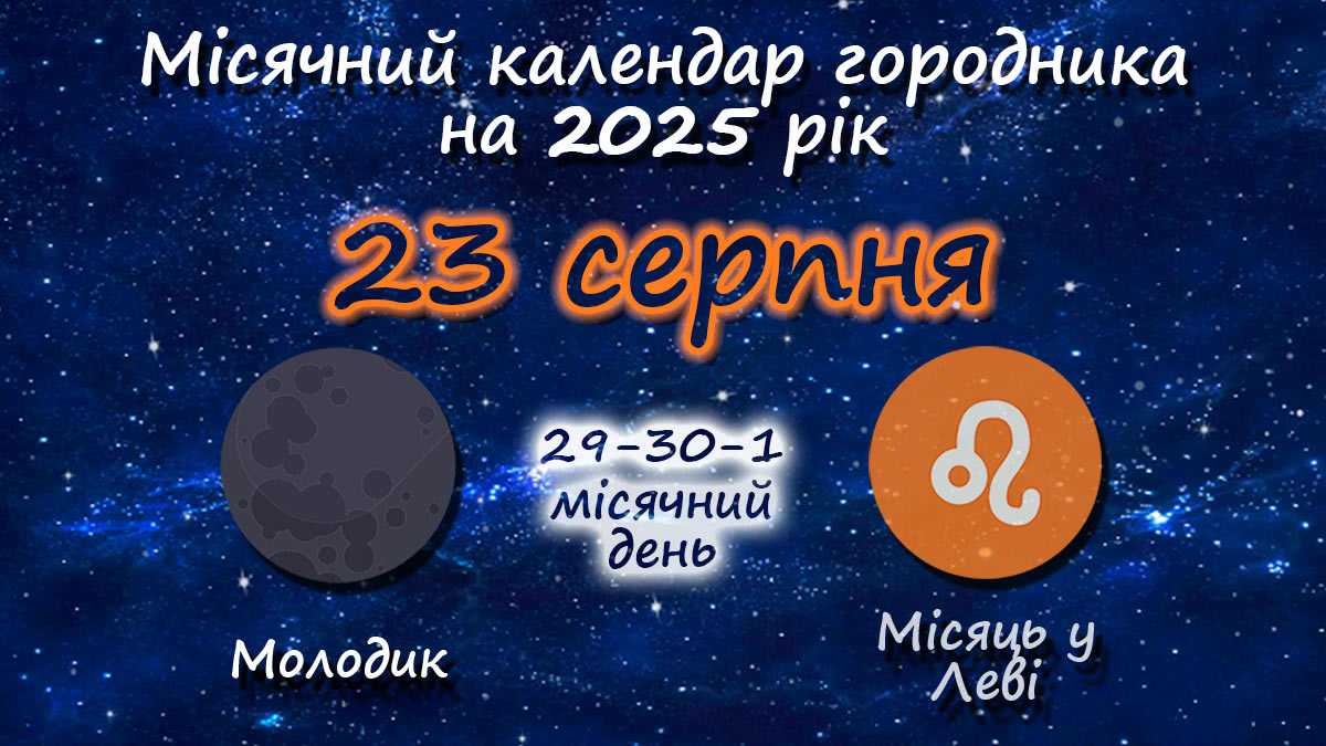 Місячний календар садівника-городника на 23 серпня 2025 року