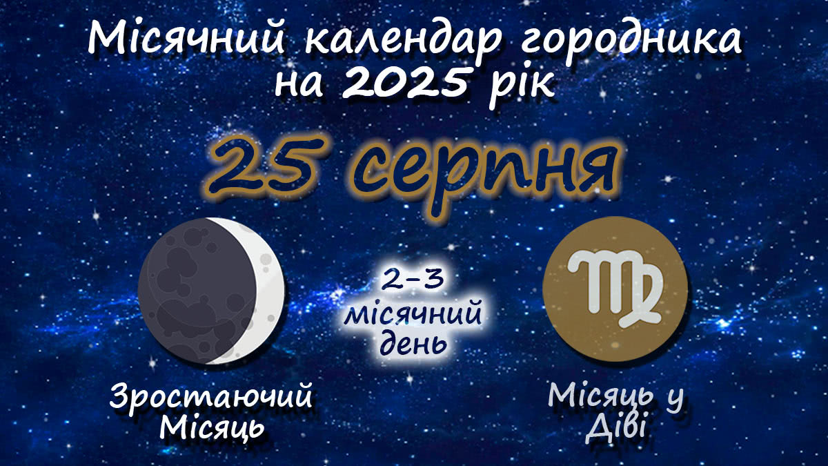 Місячний календар садівника-городника на 25 серпня 2025 року