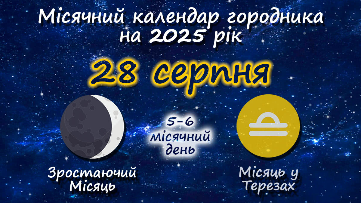 Місячний календар садівника-городника на 28 серпня 2025 року