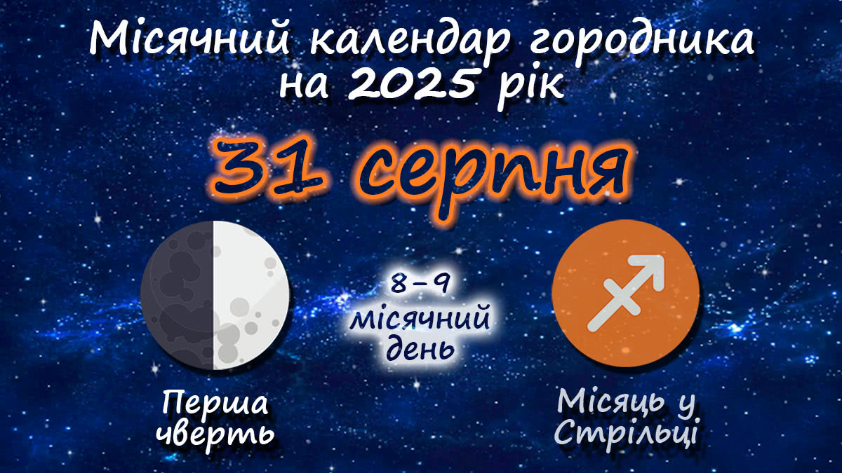 Місячний календар садівника-городника на 31 серпня 2025 року