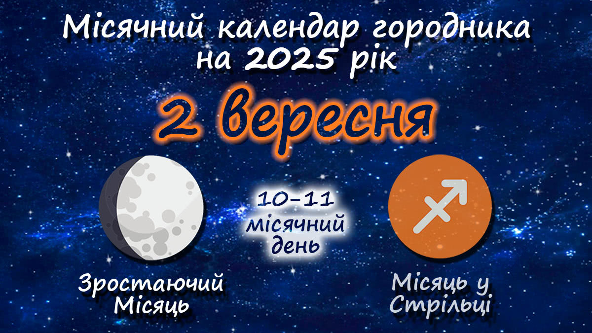 Місячний календар садівника-городника на 2 вересня 2025 року