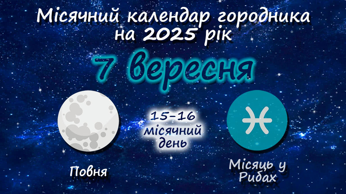 Місячний календар садівника-городника на 7 вересня 2025 року