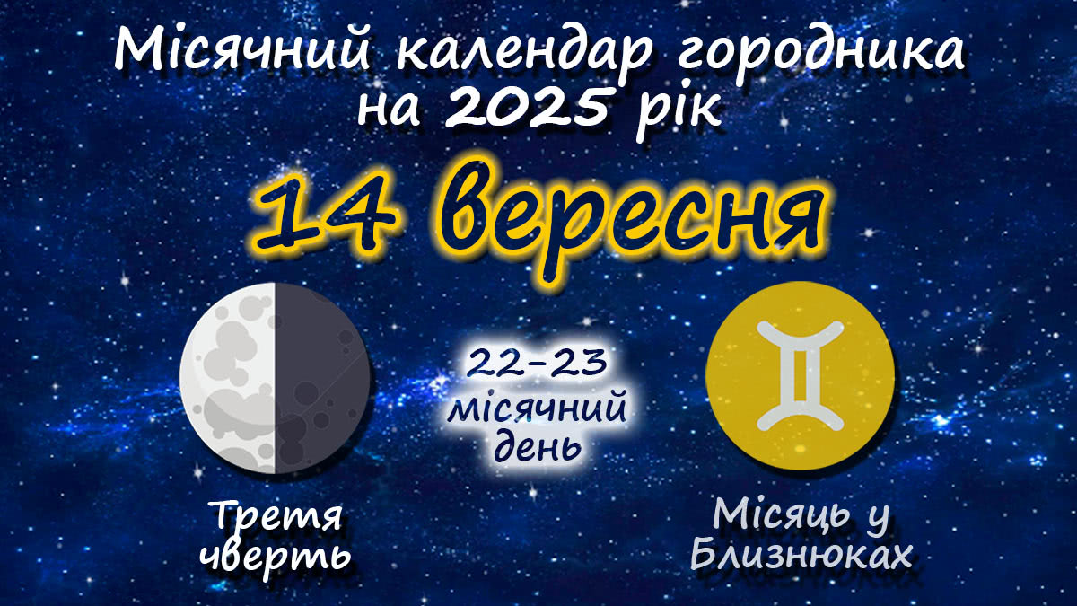 Місячний календар садівника-городника на 14 вересня 2025 року