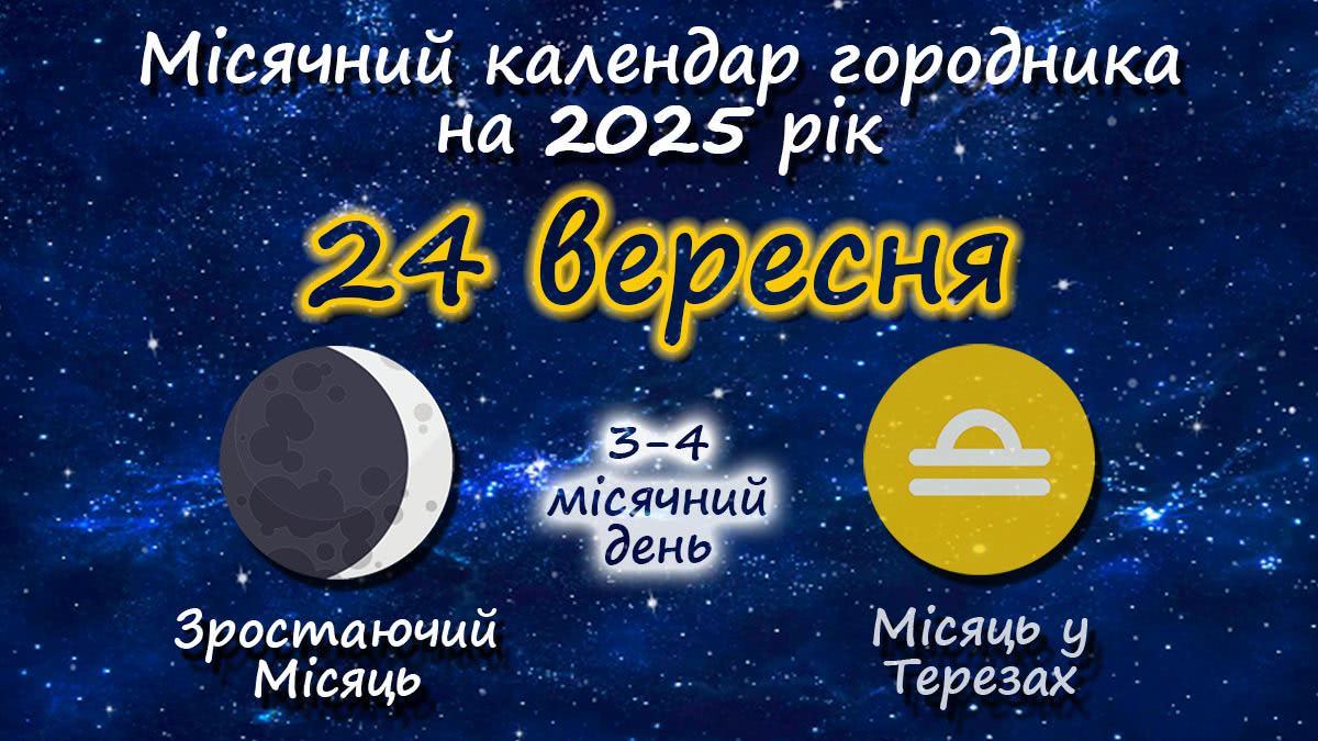 Місячний календар садівника-городника на 24 вересня 2025 року