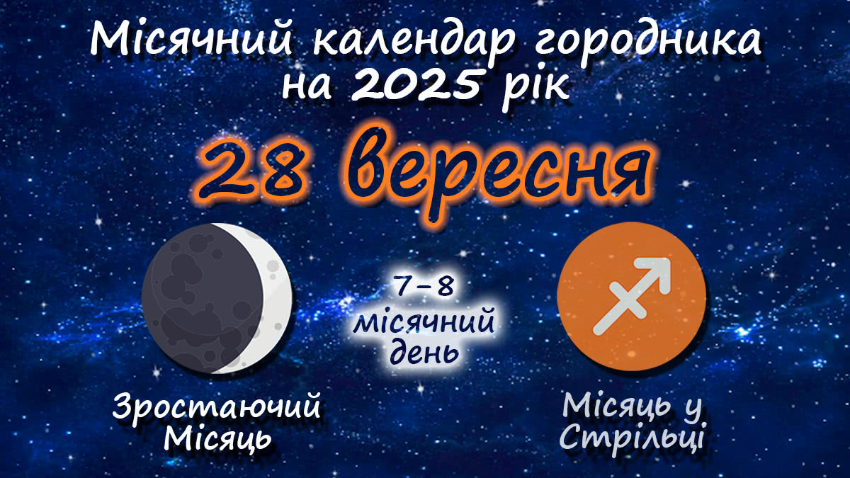 Місячний календар садівника-городника на 28 вересня 2025 року