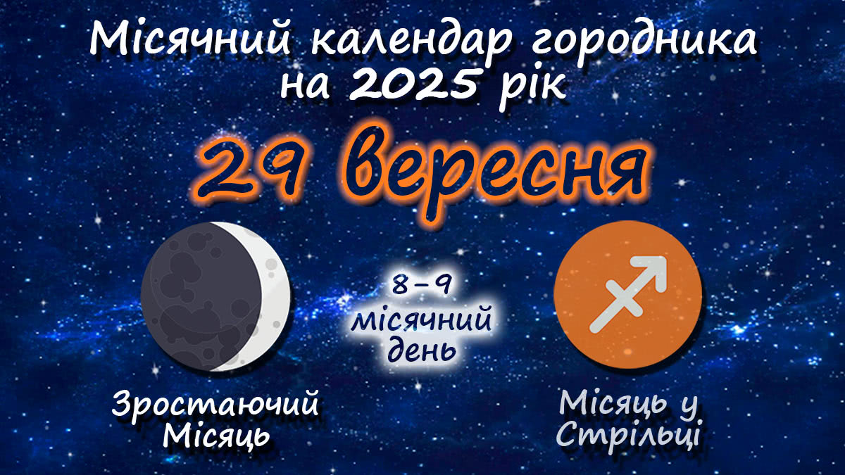Місячний календар садівника-городника на 29 вересня 2025 року