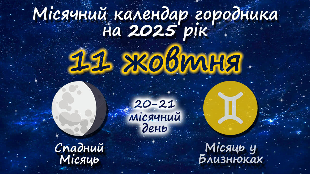 Місячний календар садівника-городника на 11 жовтня 2025 року