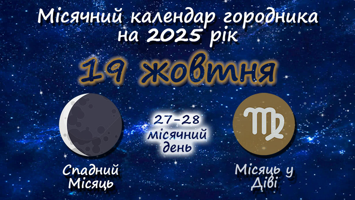 Місячний календар садівника-городника на 19 жовтня 2025 року